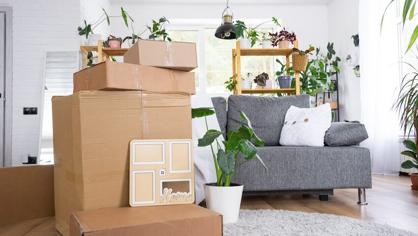 Flyttlådor vardagsrum